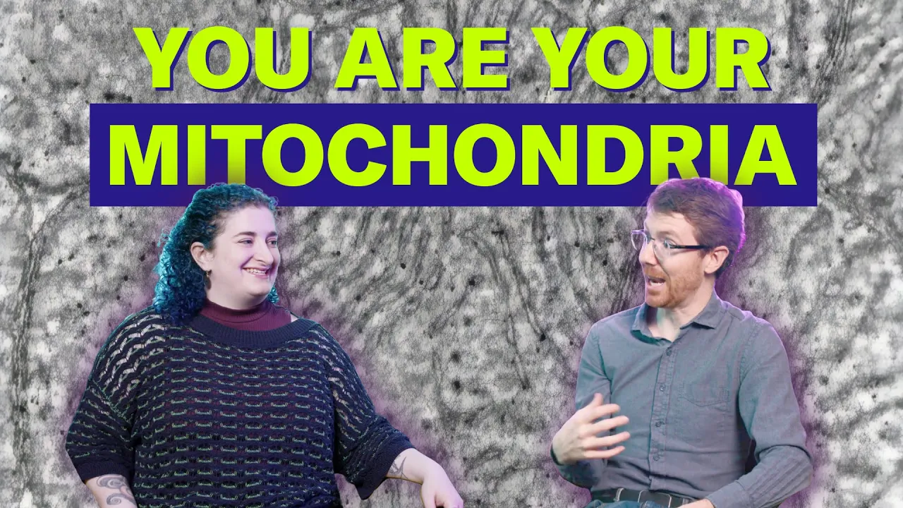 YouTube thumbnail
